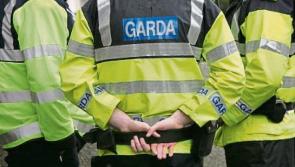 Two Limerick premises face prosecution after garda sting operation