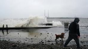 Second woman dies in Irish waters in 24 hours as body recovered near popular seaside suburb