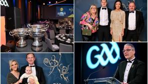 PICTURES: GAA Glitz and glam at Croke Park as Champions 15 awards ceremony takes place