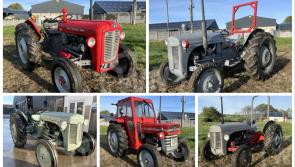 PICTURES: Private collection of sought-after vintage tractors going to auction in Ireland