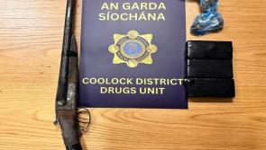 Double-barrel shotgun, cocaine and cannabis stash seized in Dublin Garda raid 