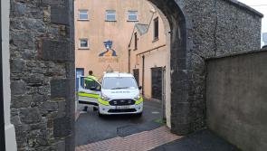 American appears in court in connection with death of man in luxury Laois hotel