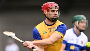 All-Ireland winning Limerick hurler lines out in Leinster championship this weekend