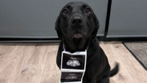 'Bring on even more madness' - Radio star announces exciting baby news