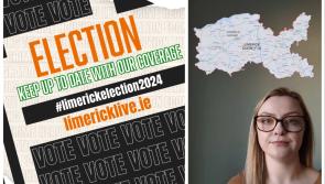 WATCH: Your 90-second guide to voting in General Election 2024 in Limerick County