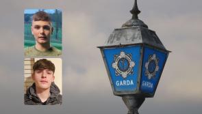 ALERT: Gardai seek help in locating teenage boys reported missing in the same county