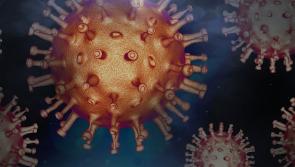 ALERT: Illness warning as almost 1,000 people hospitalised in Ireland over Christmas