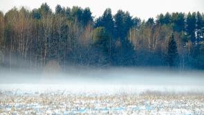 Temperatures to reach whopping 14 degrees in coming days say Met &Eacute;ireann