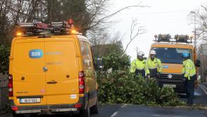ESB in urgent safety appeal following 'very dangerous&nbsp;incidents' in the wake of Storm &Eacute;owyn