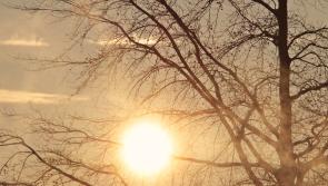 As Ireland rides out Storm Herminia the week ahead does bring some hope