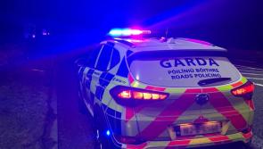 Garda&iacute; make urgent witness appeal as man in 'critical condition' following serious crash