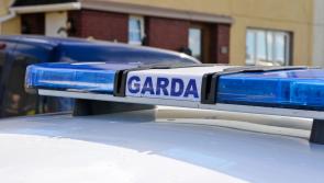 Warning to drivers as thousands of cars are stolen from Irish driveways