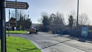 'An absolute gent' - Man killed after being hit by car in Laois named locally