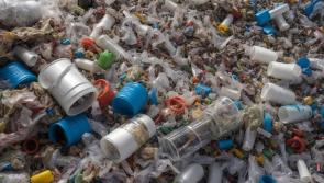  'Plastic is suffocating our ocean'-  Irish adults admit to flushing these items down toilet