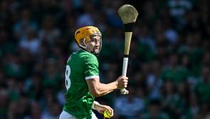 Two Limerick hurling stars named on GAA.ie team of the week