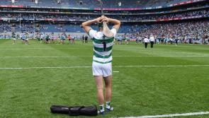 Five major talking points from Limerick senior hurlers' season