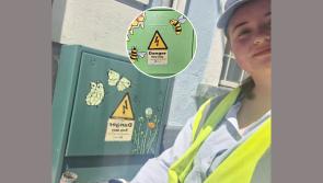 Young tidy towns member in Kilmallock adds colour to her Limerick Community