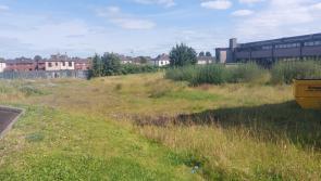 Limerick council ordered to pay wheelchair charity's costs after failing to secure its lands