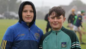 PICTURES: Supporters cheer on Ahane and Patrickswell in Limerick Senior Hurling Championship