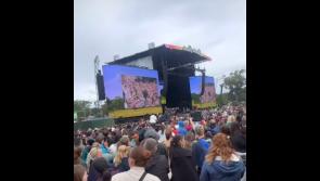 Limerick hurlers in the crowd for reunion of The Cranberries at Electric Picnic