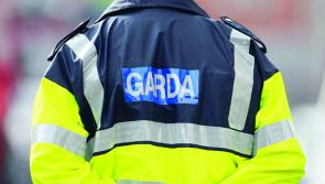 'Nothing is off the table' - Second round of Garda recruitment confirmed by Justice Minister
