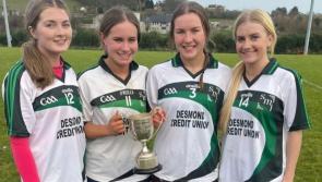 All-Ireland glory for SMI Newcastle West with Donal Burke Cup success