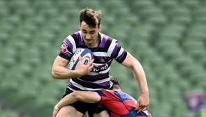 Limerick duo help Terenure College claim historic All-Ireland League win