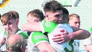 Limerick primed for Allianz Football League final clash with Louth