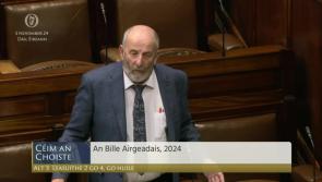 WATCH: Danny Healy-Rae told to 'f**k off' in D&aacute;il after commenting on gender of TD's child