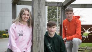 Limerick students take part in BT Young Scientist Business Bootcamp