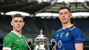 Fitzgerald praises Limerick players after reaching Tailteann knock-out stages