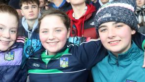 In Pictures: Limerick fans at Dillon Quirke Foundation hurling game with Tipp