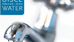 Large number of Limerick communities at risk of drought amid heatwave