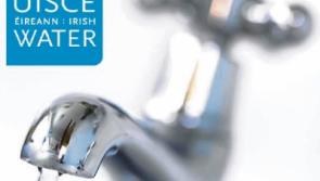 &lsquo;Urgent appeal&rsquo; for Limerick public to save water as drought prompts restrictions