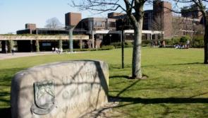 University of Limerick report will go directly to Minister for Education