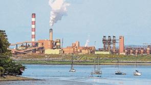 River Shannon in Limerick is 'littered', says Ibal