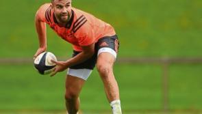 Munster sign New Zealand scrum-half as Conor Murray ruled out with injury