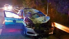 Gardai hospitalised after horse hits patrol car in Limerick city&nbsp;