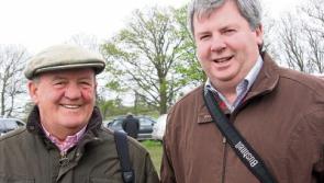 Limerick trainers saddle&nbsp;three winners&nbsp;at Listowel Harvest Festival