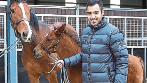 Equine expansion: Qatar Racing buys second million euro farm in County Limerick
