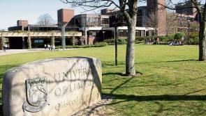 University of Limerick students to boycott restaurants over direct provision link