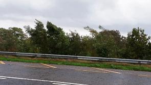 Met &Eacute;ireann warns of gale force winds in Limerick as Storm Diana approaches