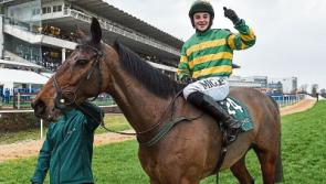 WATCH: Limerick jockey scores biggest win of career in Leopardstown feature