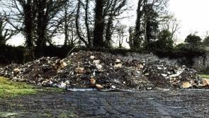 Chemicals secretly buried in County Limerick&nbsp;dug up and then left &lsquo;a field away&rsquo;