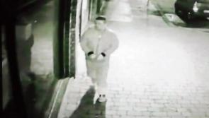 WATCH: Limerick gardai in TV appeal to locate driver of van which mounted footpath