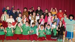 WATCH: &lsquo;Hon the Treaty&rsquo; film to tell Limerick hurlers&rsquo; tale