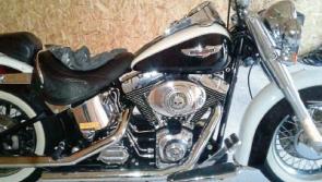 Suspected gang member arrested during major CAB operation in Limerick