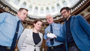 Gardai to probe circumstances of discovery of 3000-year-old axe in County Limerick