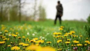 Limerick Tidy Towns groups invited to first 'in-person' seminar in three years 