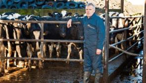 Limerick ICMSA praises Dairygold and Kerry for holding milk price in contrast to others